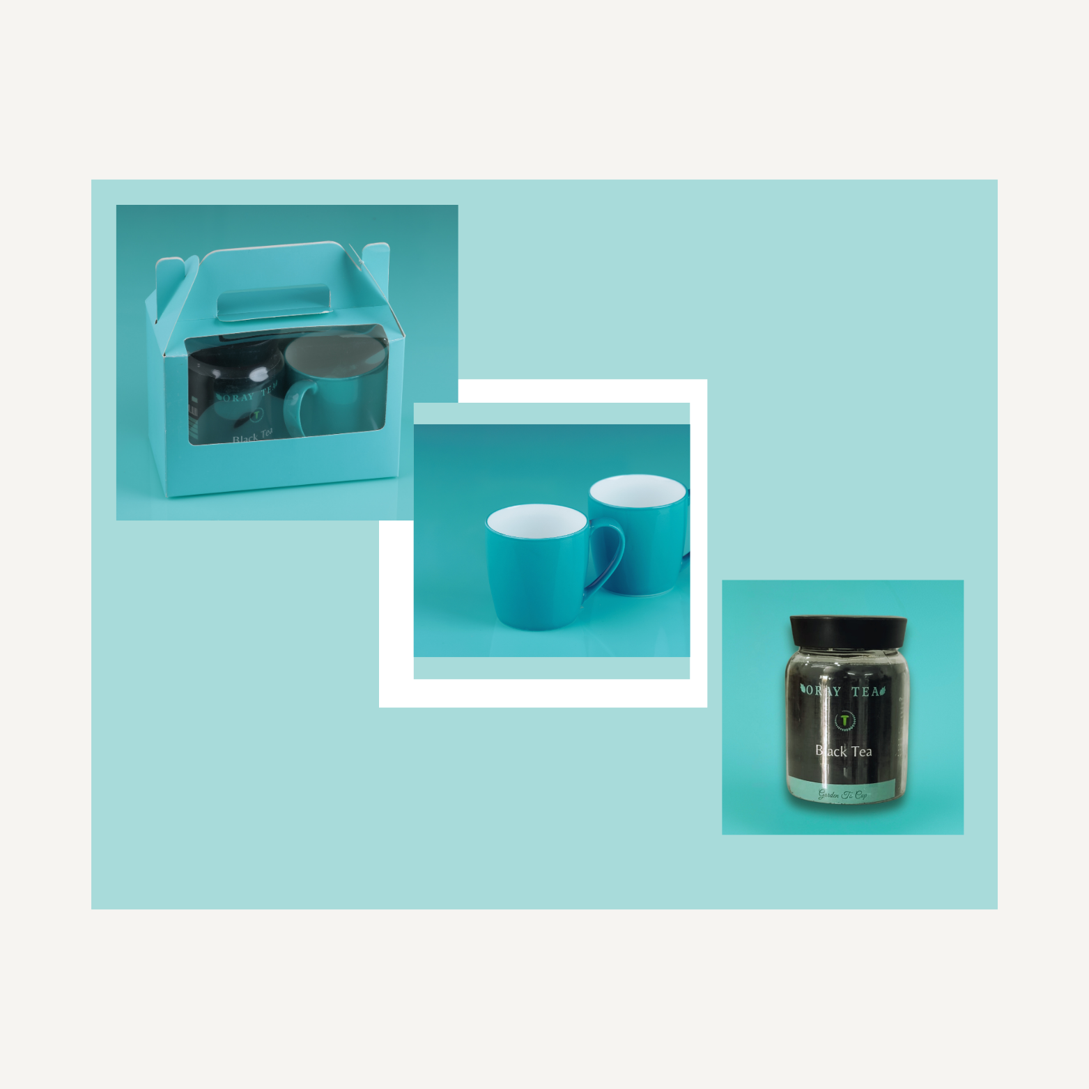 ORAY EXPRESSION'S  SAIL