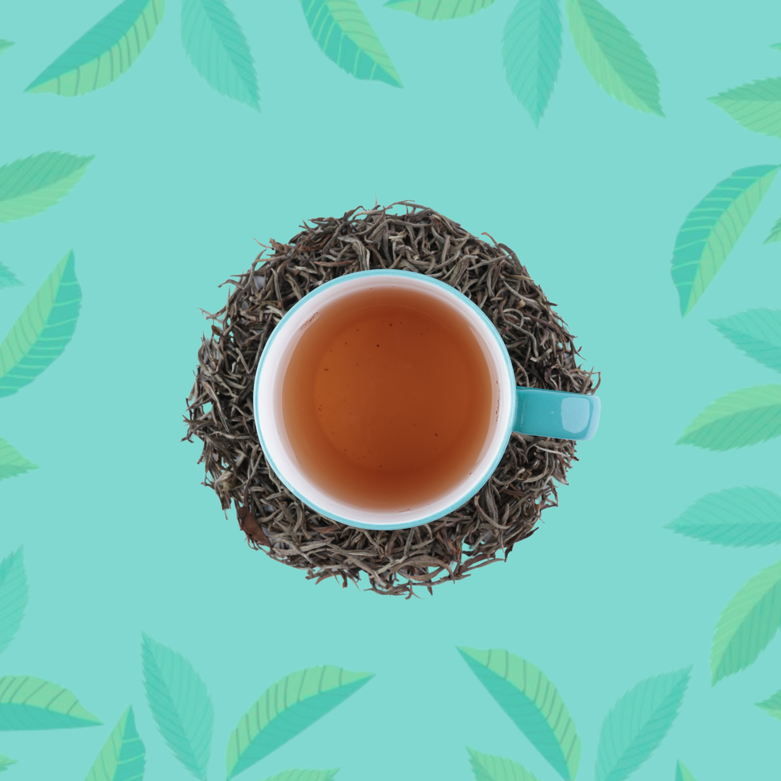 ORAY PLATINUM NEEDLES